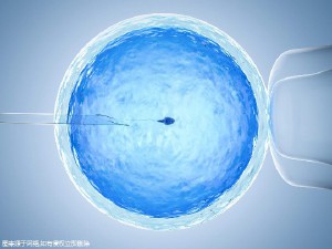 实验室设备